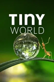 Tiny World