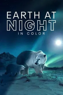 Earth At Night In Color